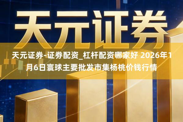 天元证券-证劵配资_杠杆配资哪家好 2026年1月6日寰球主要批发市集杨桃价钱行情