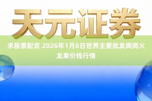 求股票配资 2026年1月8日世界主要批发阛阓火龙果价钱行情