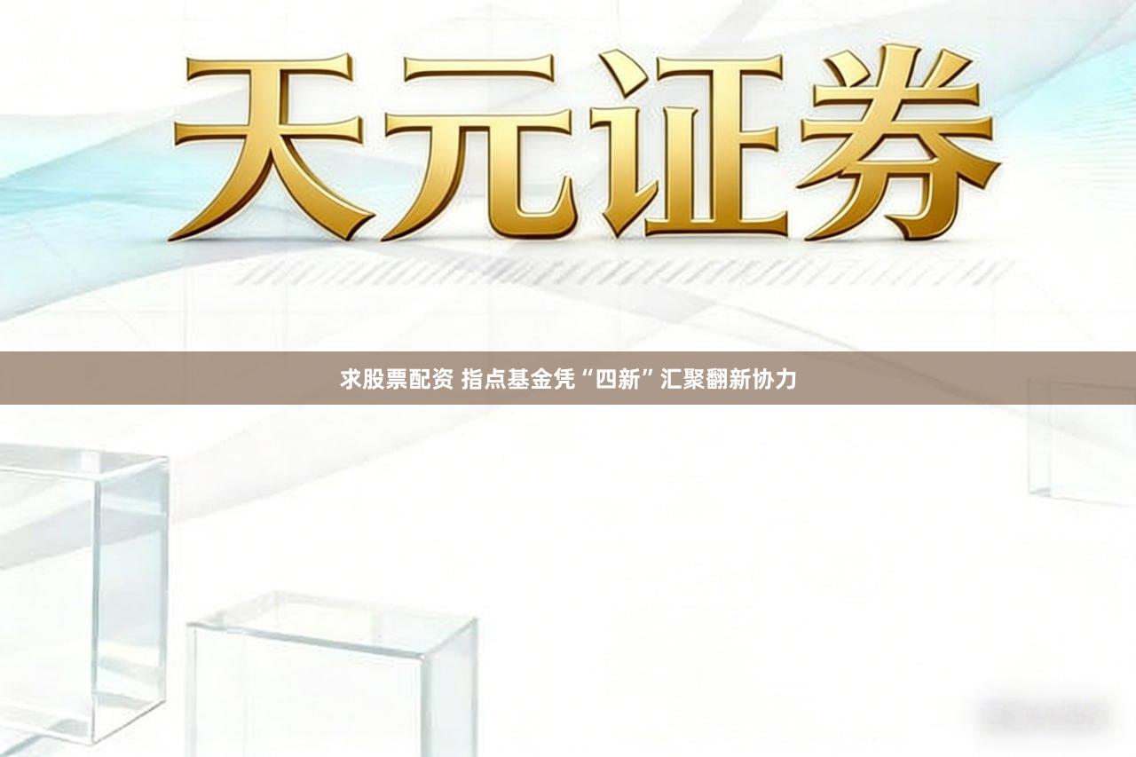 求股票配资 指点基金凭“四新”汇聚翻新协力