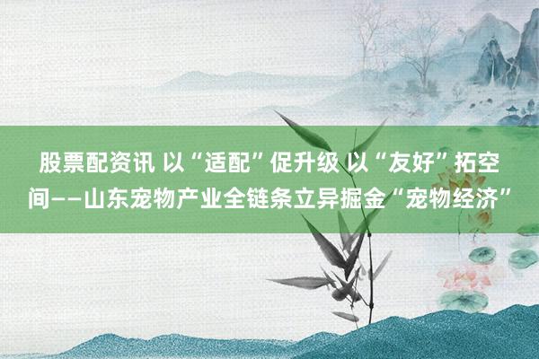 股票配资讯 以“适配”促升级 以“友好”拓空间——山东宠物产业全链条立异掘金“宠物经济”
